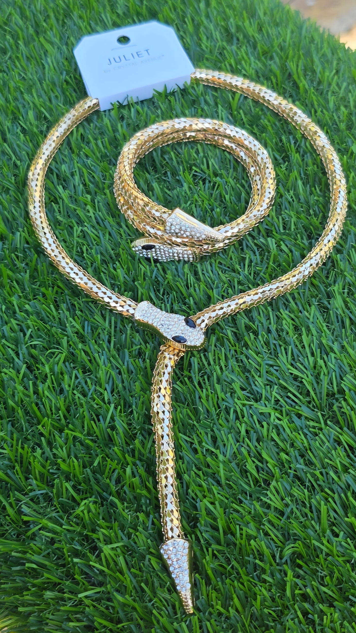 SNAKE SET