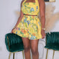 SPRING FLING SET