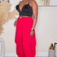 WILD  SAGA DRESS PANTS