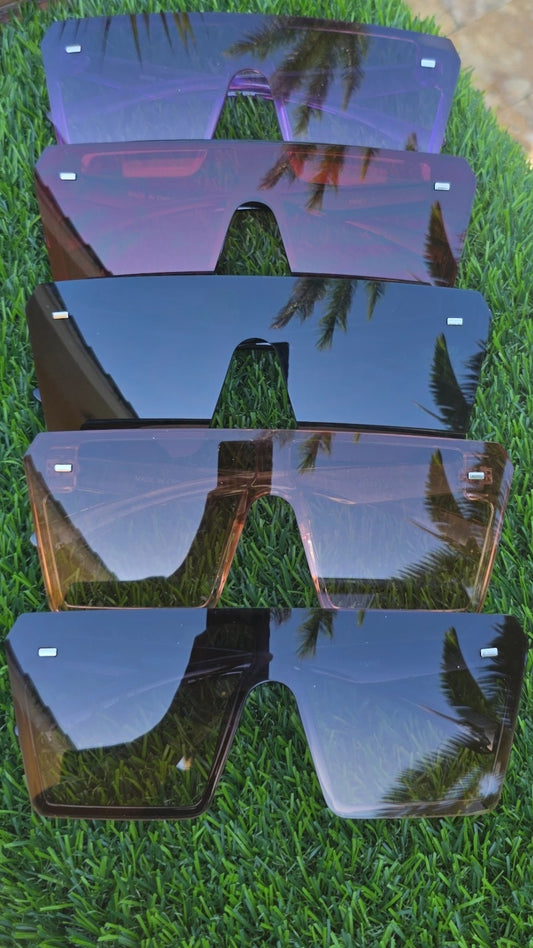 SUNGLASSES 56003