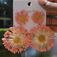 VEDA EARRING