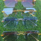 SUNGLASSES 5331